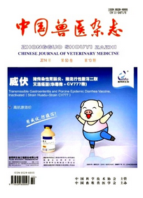 中国兽医杂志