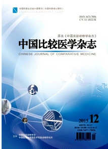 中国比较医学杂志
