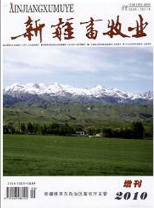 新疆畜牧业