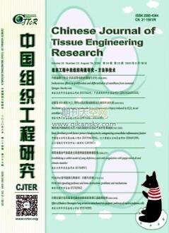 中国组织工程研究与临床康复