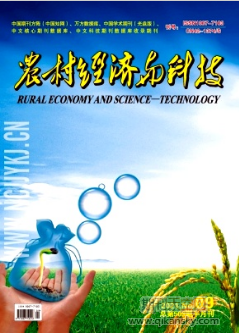 农村经济与科技