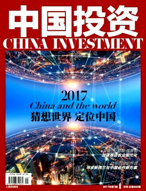 中国投资经济