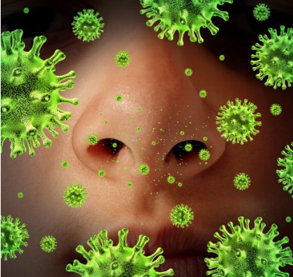 流感病毒生物传感器检测方法研究进展