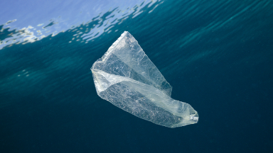 微塑料在海洋中的分布特征及对生物的影响