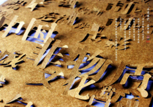 辽宁省大学生对非物质文化遗产保护的认知度分析