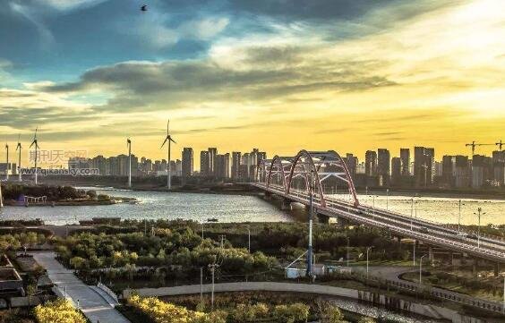 中新天津生态城科技型企业发展现状及对策研究